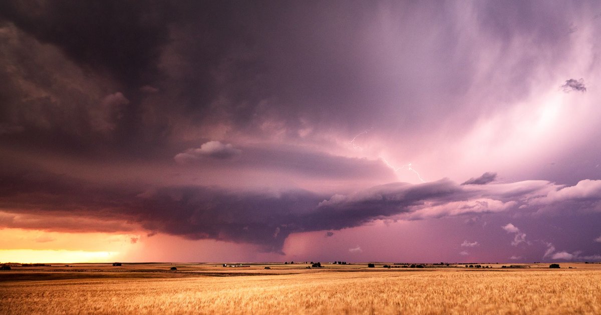 A dry wheat field under a dark, dramatic storm sky with lightning — dry ground meeting heavy rain