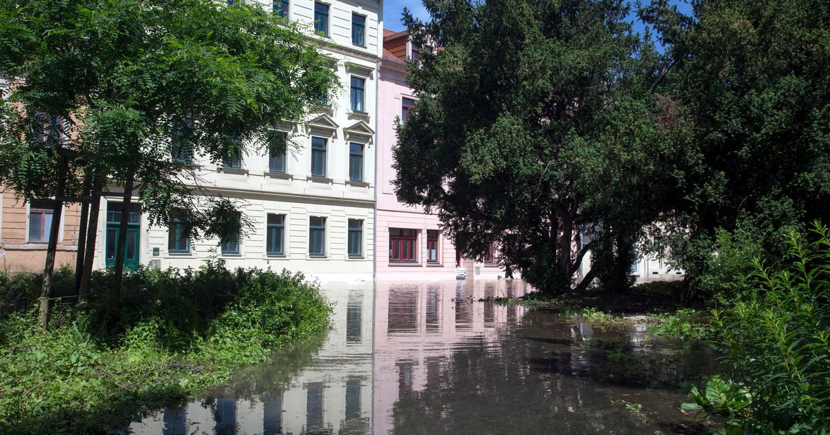 Floodwater risen against a row of residential townhouses on a tree-lined street