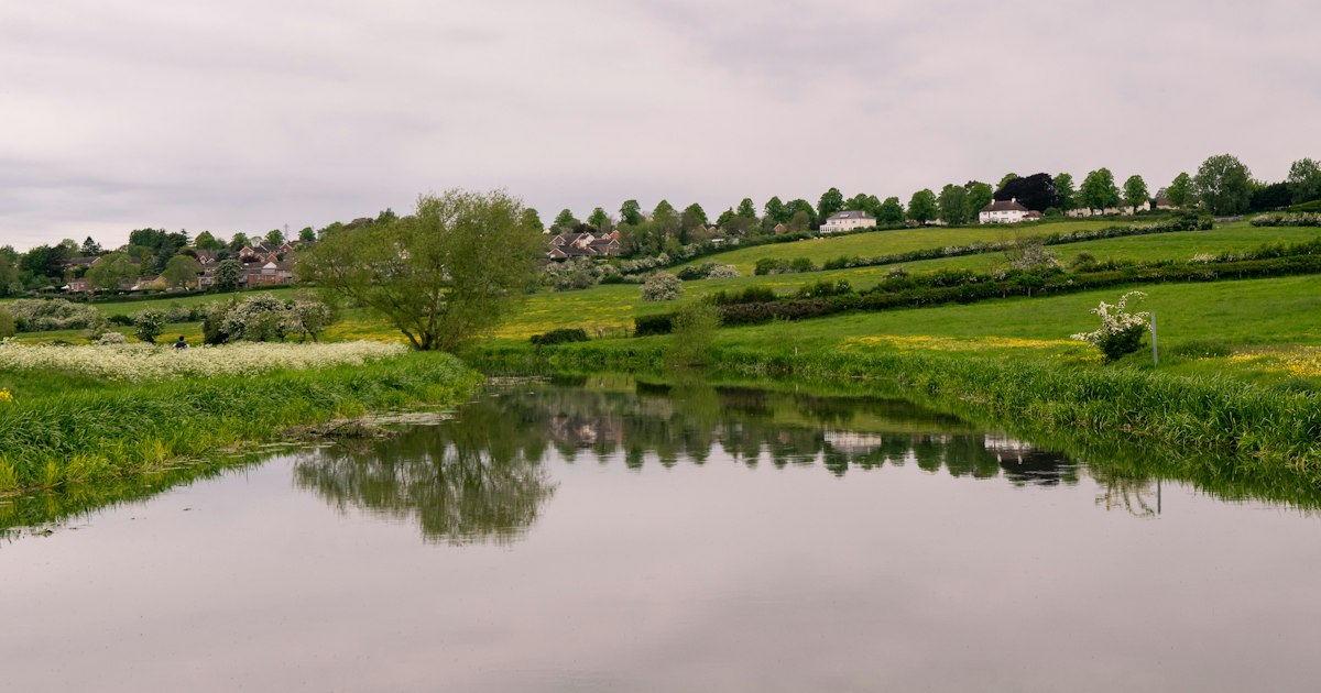 Waterlogged meadow with standing water